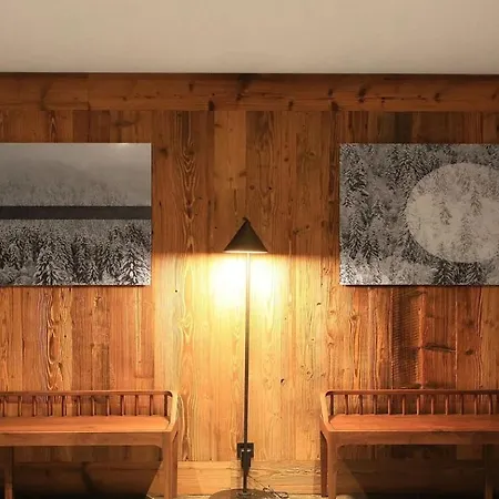 Boisier Nest Apartment *